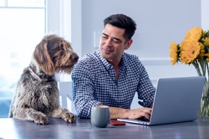 Pet Insurance Plans For Dogs And Cats Farmers Insurance